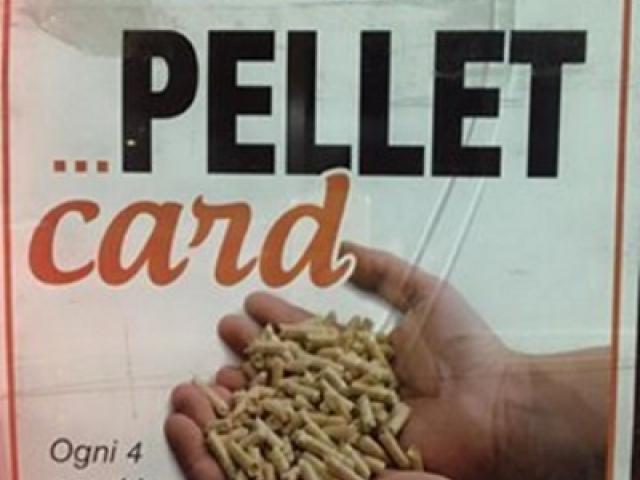 pellet card